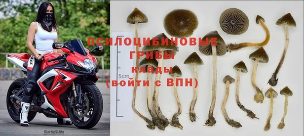 стаф Абаза