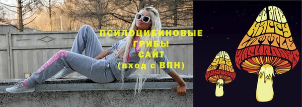 амф Абинск