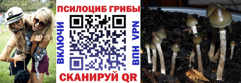Псилоцибиновые грибы MAGIC MUSHROOMS  как найти закладки  МЕГА рабочий сайт  Инта 